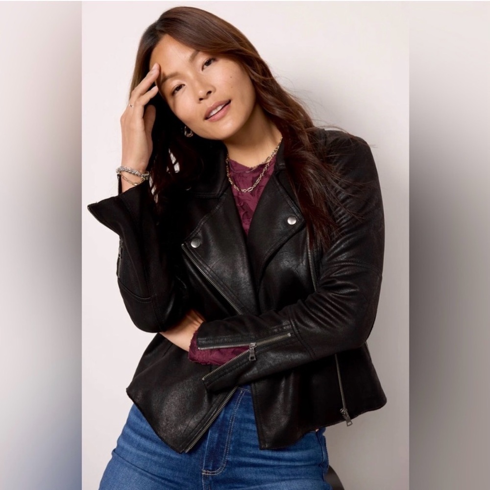 Evereve Marren Moto Jacket L